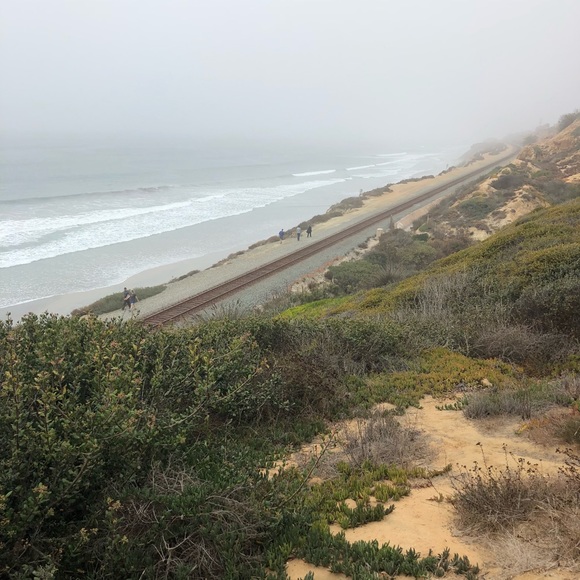 Meet your Posher, Reese - Picture 1 of 1